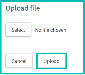 Bulk Upload - Upload File_g.png