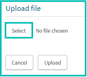 Bulk Upload - Select File_g.png