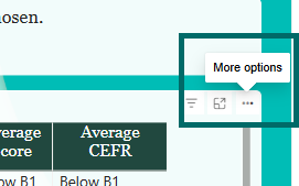 More options.png